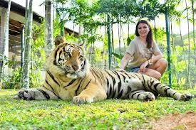 https://travelpoint.ba/uploads/articles/68f7c74394c11f4de7f5a9cc/images/1761068868087-images.webp